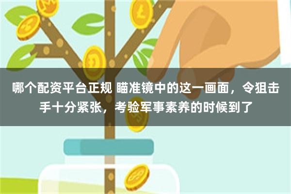 哪个配资平台正规 瞄准镜中的这一画面，令狙击手十分紧张，考验军事素养的时候到了