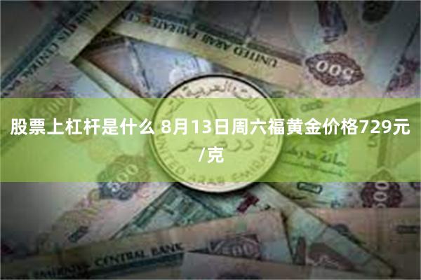 股票上杠杆是什么 8月13日周六福黄金价格729元/克