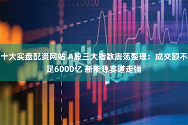十大实盘配资网站 A股三大指数震荡整理：成交额不足6000亿 新能源赛道走强