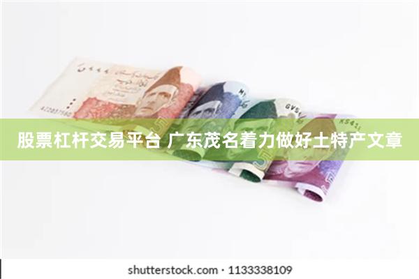 股票杠杆交易平台 广东茂名着力做好土特产文章