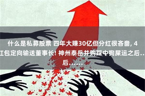 什么是私募股票 四年大赚30亿但分红很吝啬, 4亿红包定向输送董事长! 神州泰岳并购踩中狗屎运之后……