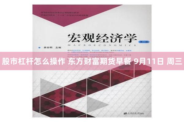 股市杠杆怎么操作 东方财富期货早餐 9月11日 周三