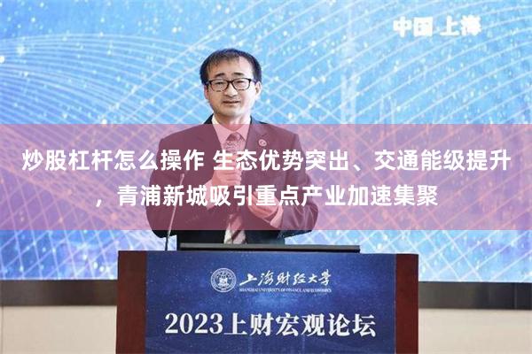 炒股杠杆怎么操作 生态优势突出、交通能级提升，青浦新城吸引重点产业加速集聚