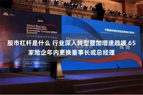 股市杠杆是什么 行业深入转型叠加增速趋缓 65家险企年内更换董事长或总经理
