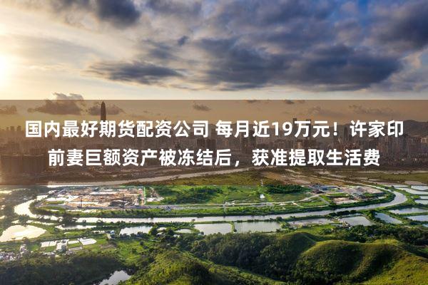 国内最好期货配资公司 每月近19万元！许家印前妻巨额资产被冻结后，获准提取生活费