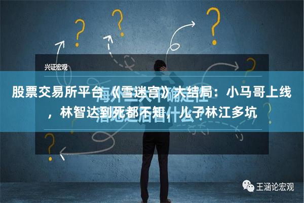 股票交易所平台 《雪迷宫》大结局：小马哥上线，林智达到死都不知，儿子林江多坑