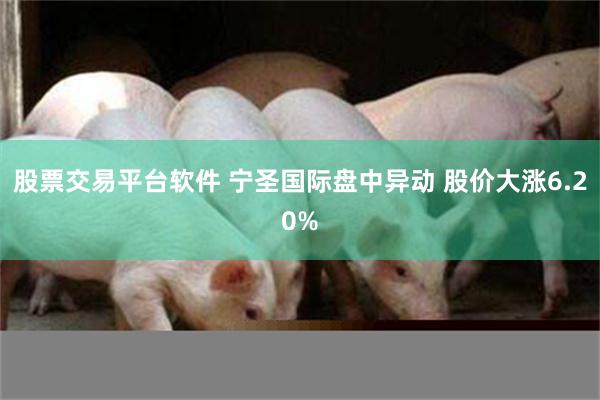 股票交易平台软件 宁圣国际盘中异动 股价大涨6.20%
