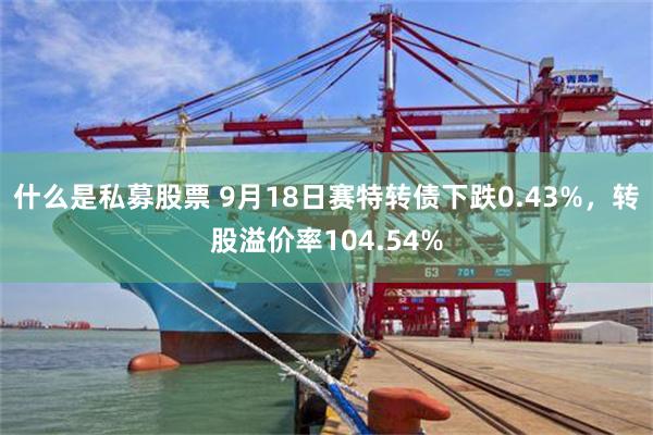 什么是私募股票 9月18日赛特转债下跌0.43%，转股溢价率104.54%