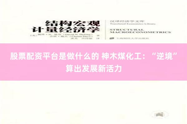 股票配资平台是做什么的 神木煤化工：“逆境”算出发展新活力