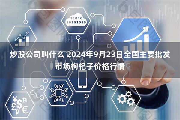 炒股公司叫什么 2024年9月23日全国主要批发市场枸杞子价格行情