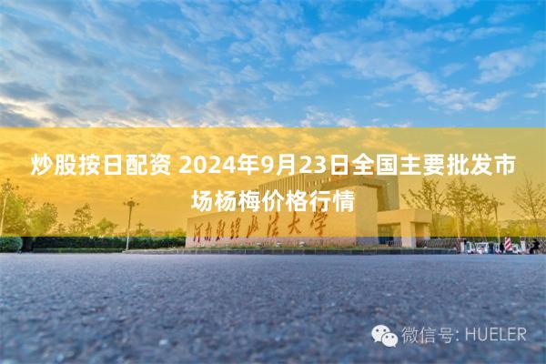 炒股按日配资 2024年9月23日全国主要批发市场杨梅价格行情