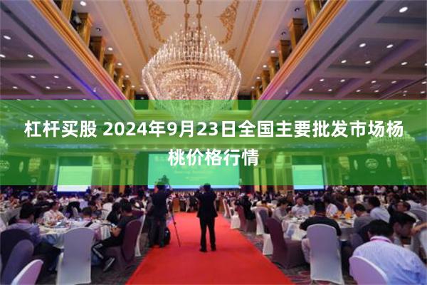 杠杆买股 2024年9月23日全国主要批发市场杨桃价格行情
