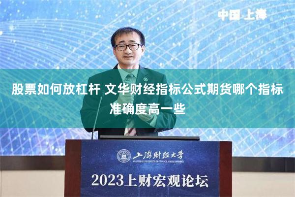 股票如何放杠杆 文华财经指标公式期货哪个指标准确度高一些