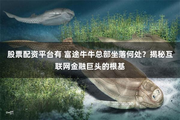 股票配资平台有 富途牛牛总部坐落何处？揭秘互联网金融巨头的根基