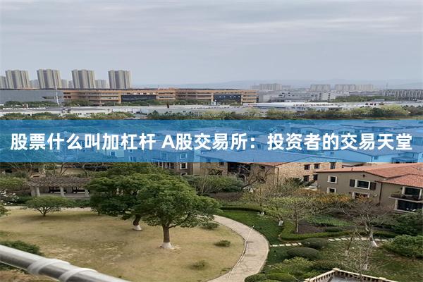 股票什么叫加杠杆 A股交易所：投资者的交易天堂