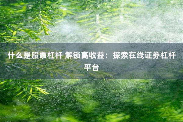 什么是股票杠杆 解锁高收益：探索在线证劵杠杆平台