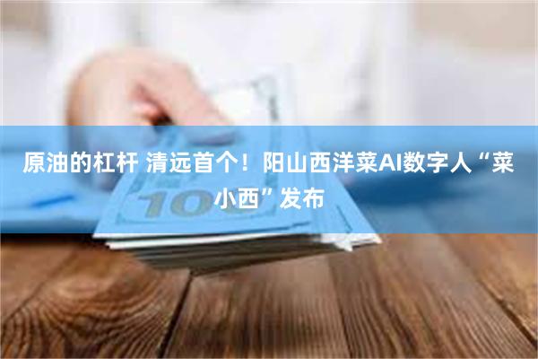 原油的杠杆 清远首个！阳山西洋菜AI数字人“菜小西”发布