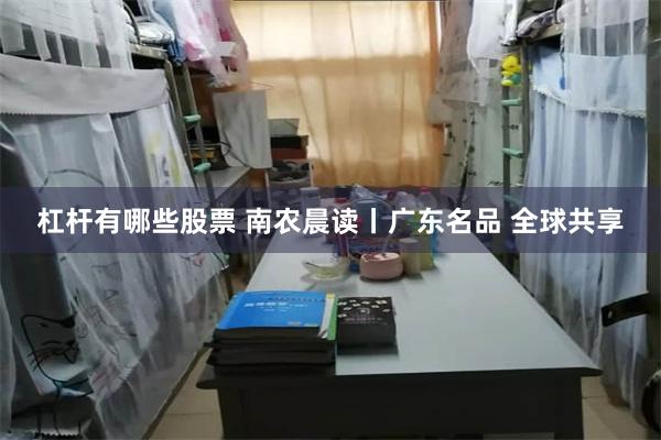 杠杆有哪些股票 南农晨读丨广东名品 全球共享
