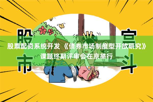 股票配资系统开发 《债券市场制度型开放研究》课题终期评审会在京举行