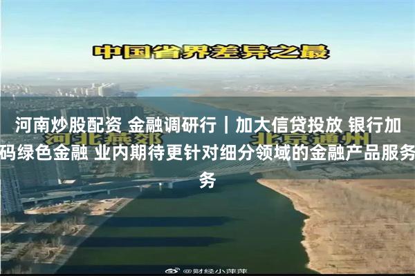 河南炒股配资 金融调研行｜加大信贷投放 银行加码绿色金融 业内期待更针对细分领域的金融产品服务