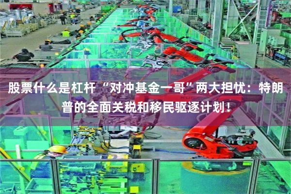股票什么是杠杆 “对冲基金一哥”两大担忧：特朗普的全面关税和移民驱逐计划！