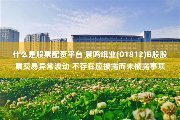什么是股票配资平台 晨鸣纸业(01812)B股股票交易异常波动 不存在应披露而未披露事项