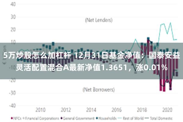 5万炒股怎么加杠杆 12月31日基金净值：国泰安益灵活配置混合A最新净值1.3651，涨0.01%
