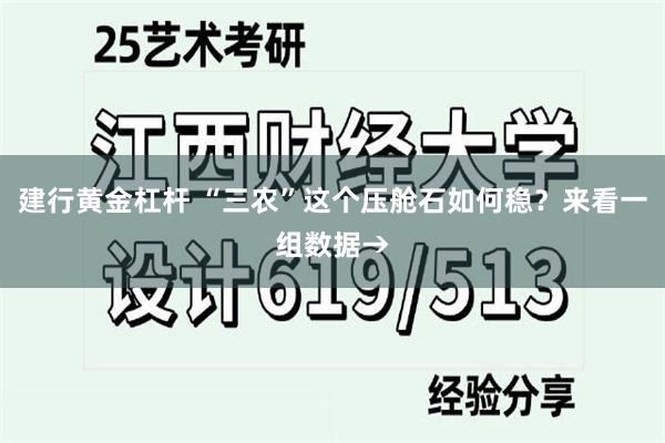 建行黄金杠杆 “三农”这个压舱石如何稳？来看一组数据→