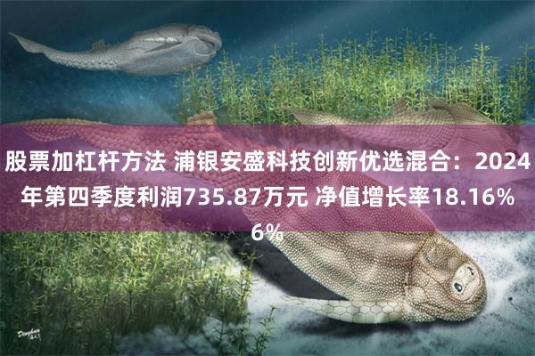 股票加杠杆方法 浦银安盛科技创新优选混合：2024年第四季度利润735.87万元 净值增长率18.16%