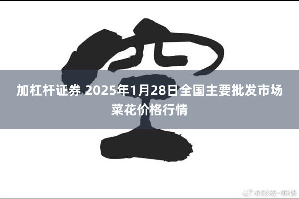加杠杆证券 2025年1月28日全国主要批发市场菜花价格行情