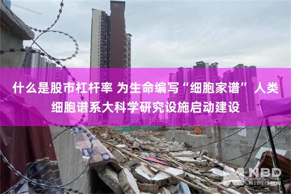 什么是股市杠杆率 为生命编写“细胞家谱” 人类细胞谱系大科学研究设施启动建设