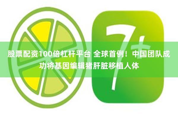 股票配资100倍杠杆平台 全球首例！中国团队成功将基因编辑猪肝脏移植人体