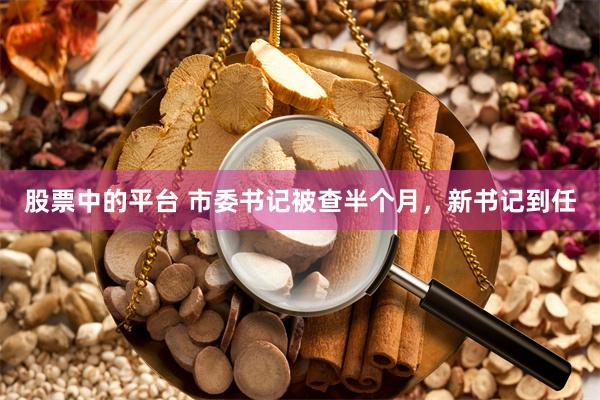 股票中的平台 市委书记被查半个月，新书记到任