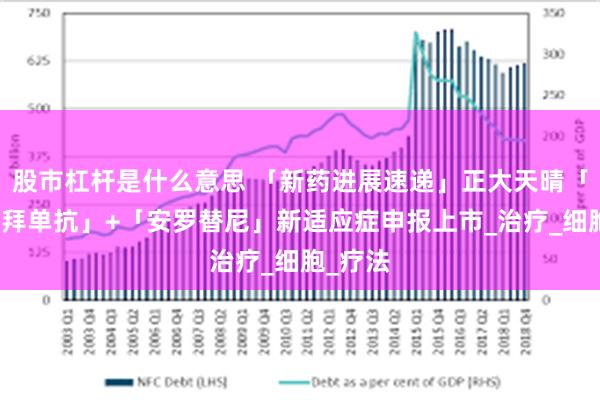 股市杠杆是什么意思 「新药进展速递」正大天晴「贝莫苏拜单抗」+「安罗替尼」新适应症申报上市_治疗_细胞_疗法