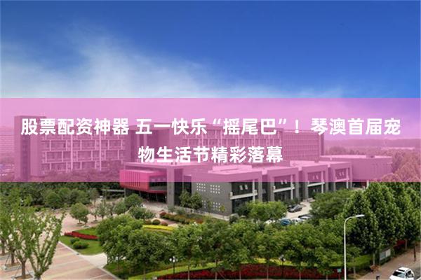股票配资神器 五一快乐“摇尾巴”！琴澳首届宠物生活节精彩落幕