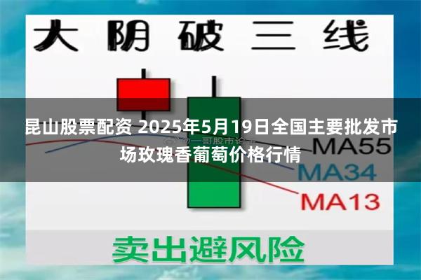 昆山股票配资 2025年5月19日全国主要批发市场玫瑰香葡萄价格行情