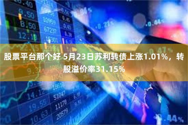 股票平台那个好 5月23日苏利转债上涨1.01%，转股溢价率31.15%