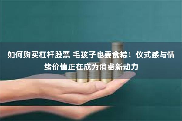 如何购买杠杆股票 毛孩子也要食粽！仪式感与情绪价值正在成为消费新动力